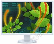 EIZO-EV2416W-GY