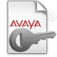 AVAYA 182303