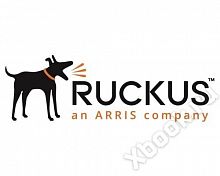 Ruckus 10G-SFPP-TWX-P-0308