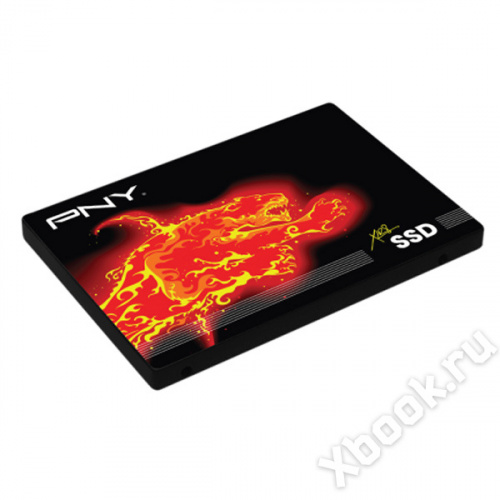 PNY SSD7CS2111-960-RB вид спереди